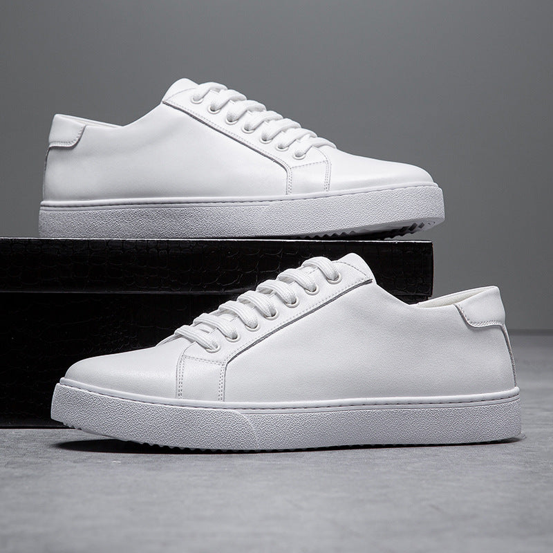 Alviro | Włoskie Skórzane Sneakersy